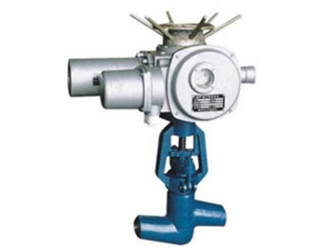 電站用電動對焊楔式截止閥