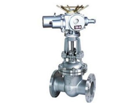 電站中、高壓電動法蘭楔式閘閥